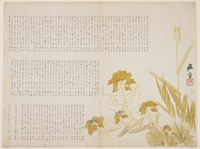 Rape blossom and wheat, 1854 by Katei